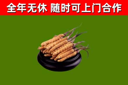 延吉市烟酒回收冬虫夏草.jpg